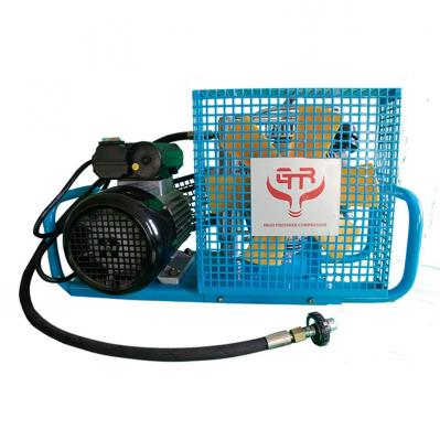 100L呼吸空氣壓縮機(jī)（自行停機(jī)）